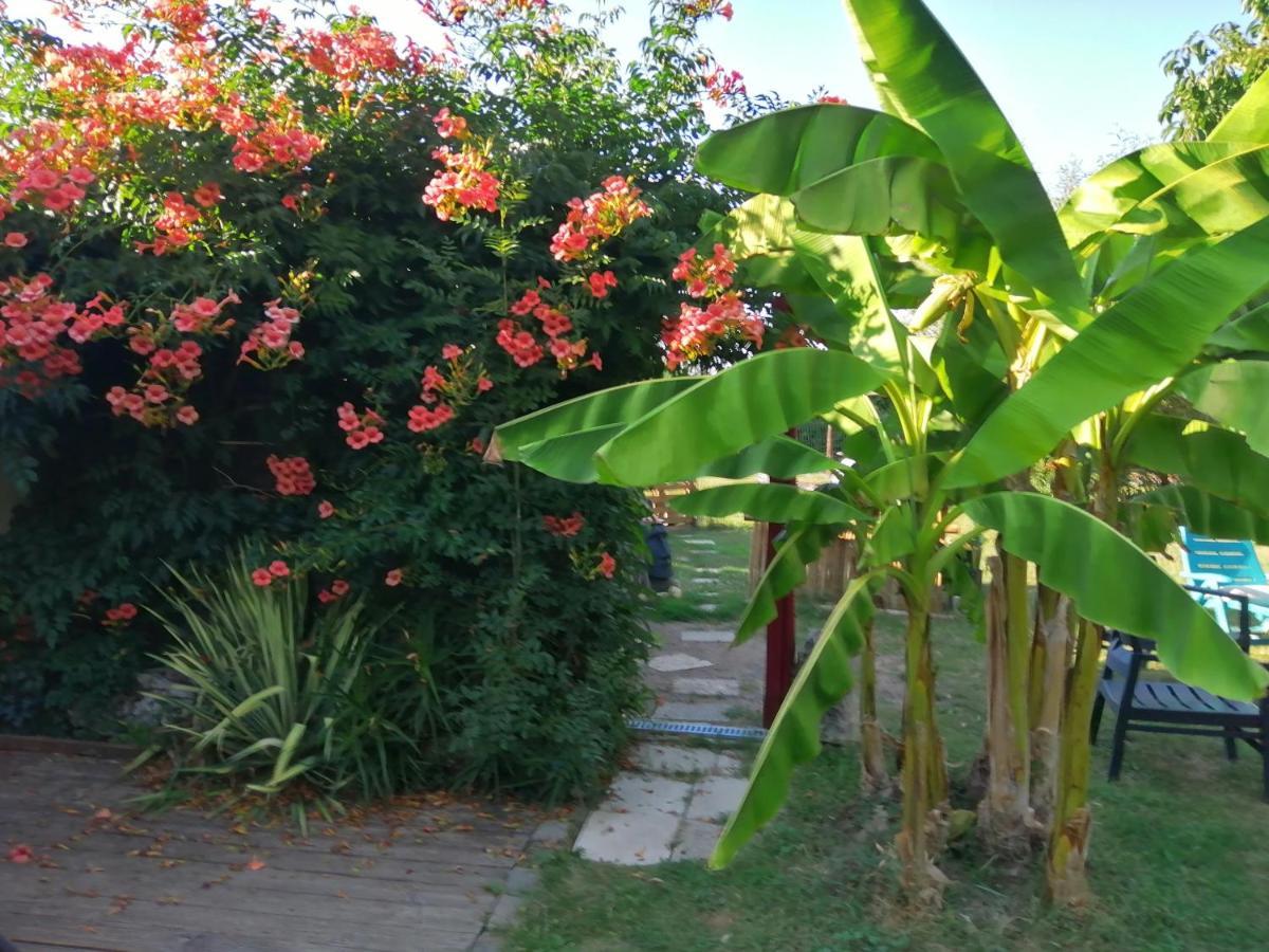 Bed and Breakfast Jacuzzi Massage Sur Rdv,Duo,Reiki,Californien, Reflexologie Plantaire, Et Bouteille Mousseux Offerte Ferolles Exterior foto