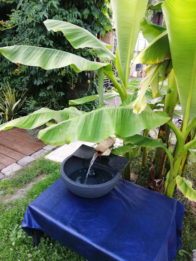 Bed and Breakfast Jacuzzi Massage Sur Rdv,Duo,Reiki,Californien, Reflexologie Plantaire, Et Bouteille Mousseux Offerte Ferolles Exterior foto